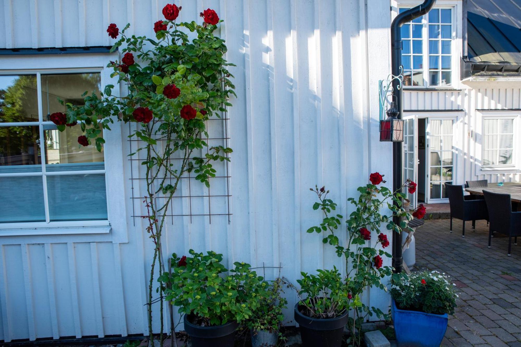 Guest House Tullgatan 24 ボリホルム エクステリア 写真