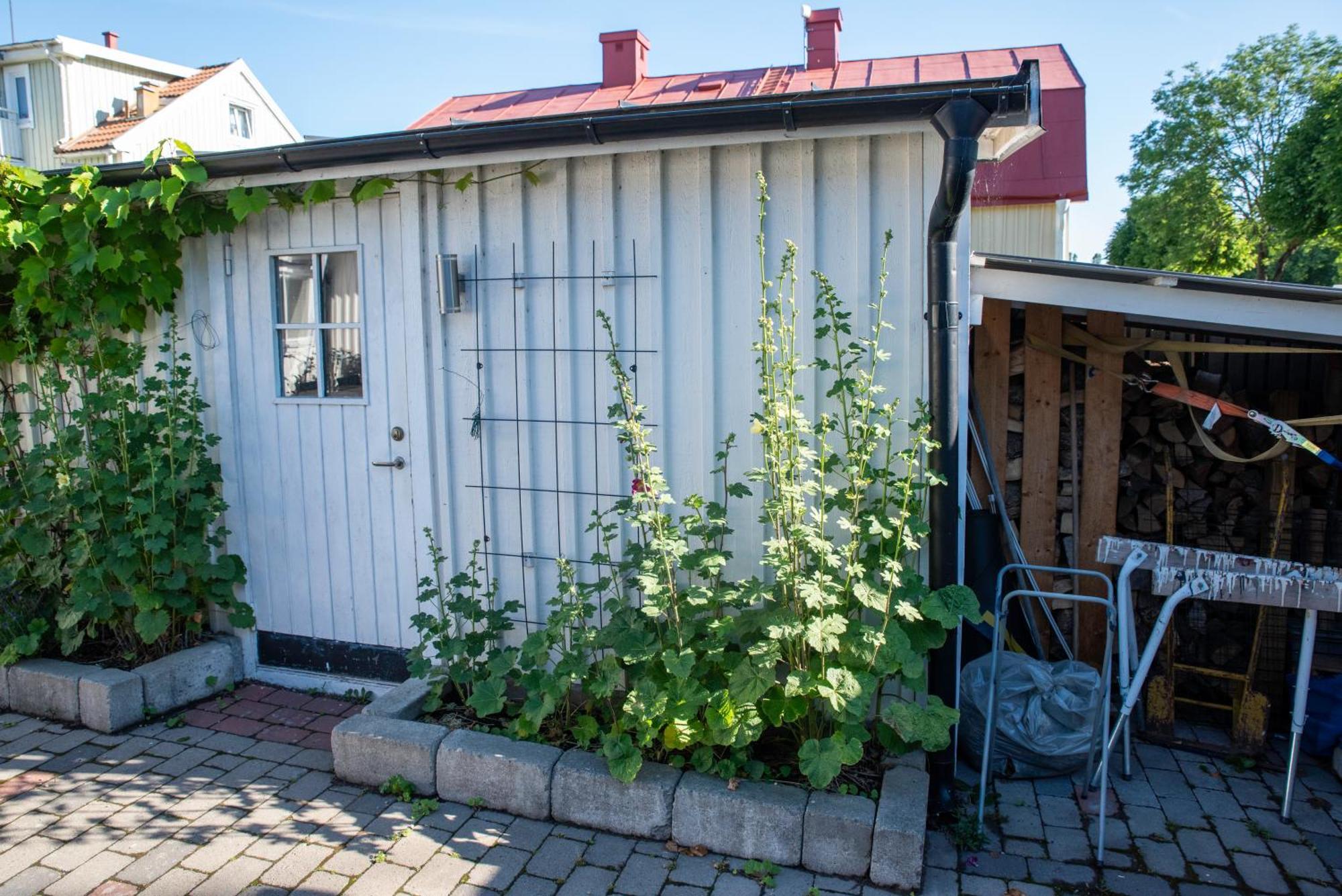 Guest House Tullgatan 24 ボリホルム エクステリア 写真