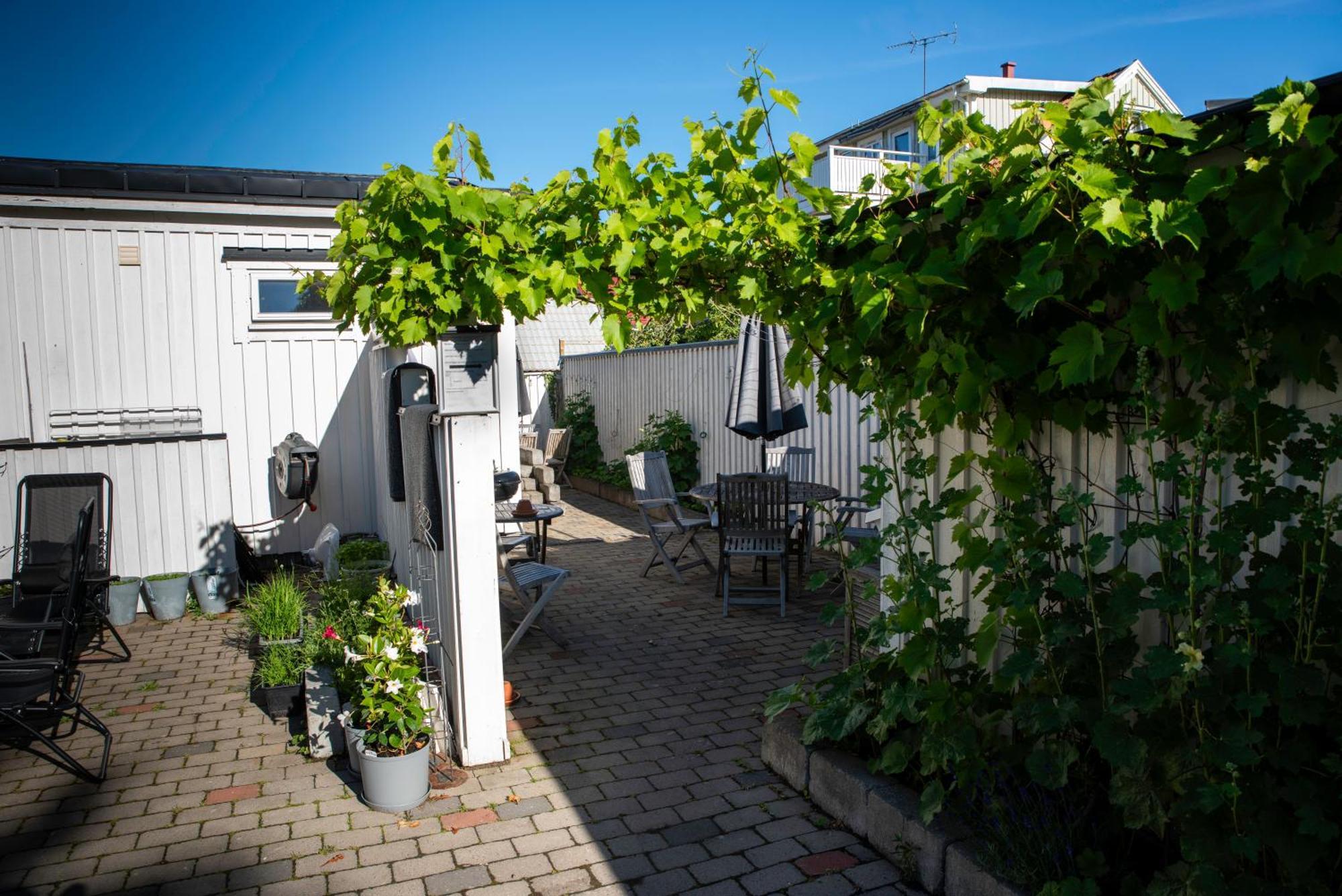 Guest House Tullgatan 24 ボリホルム エクステリア 写真